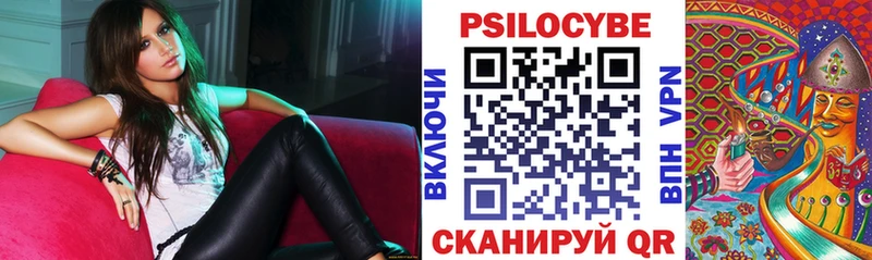 Купить  Чебоксары  Псилоцибиновые грибы Psilocybine cubensis 